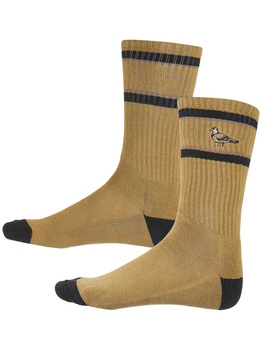 Paluba Antihero - Motel Trujillo 18